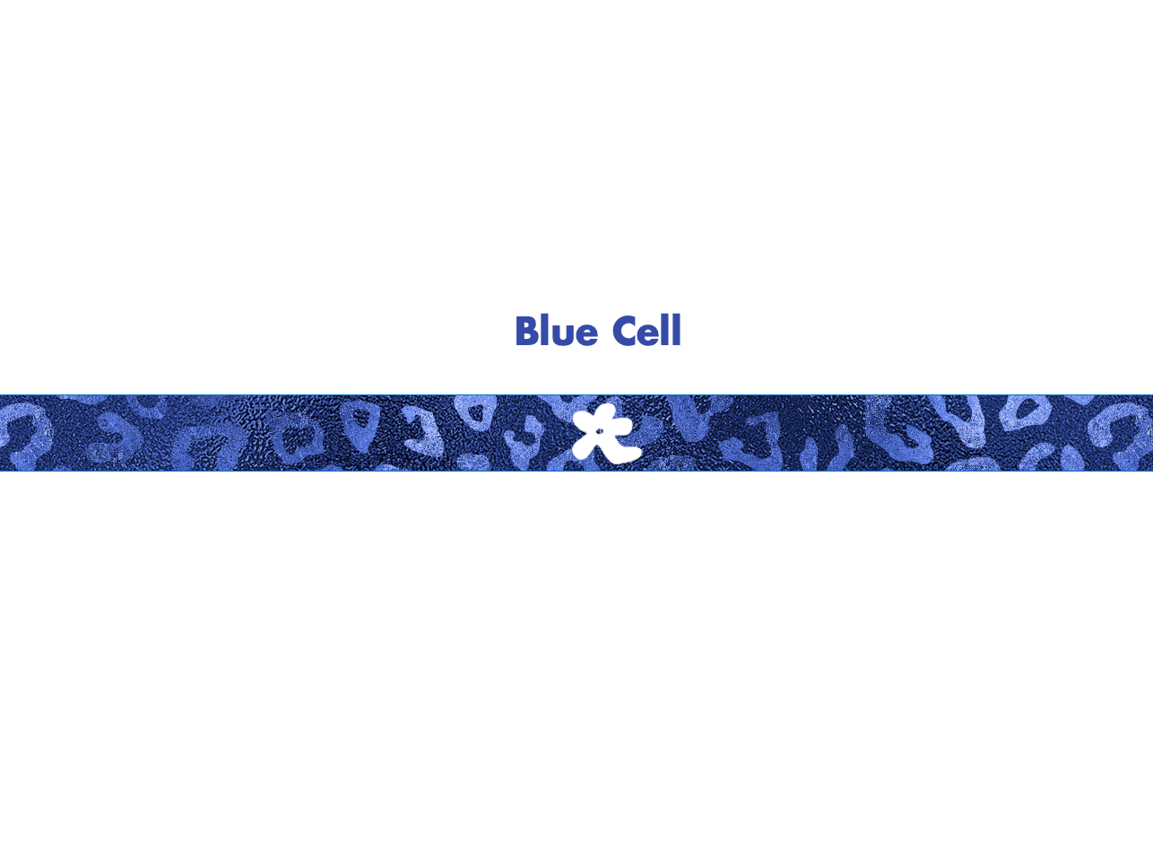 hana royal blue football headbands for women and girls blue sports headbands